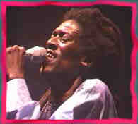 @ Womad Taranaki .. click 2 check Cheikh Lo