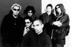 check Fat Freddys @ Amplifier.co.nz