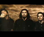 @ Womad Taranaki ....&nbsp;&nbsp; Wellington's Trinity Roots are a dub reggae act that uses Roots as a "vehicle or medium to convey emotion" through use of a lyrical message and primal rhythms". 