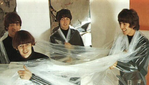 Beatles are fresher when kept in a plastic wrap