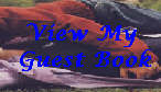 please view my guest book