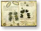 The Voynich Manuscript