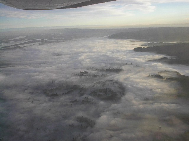 fog1