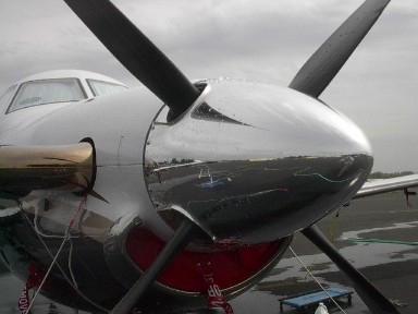 pilatus