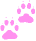 paws