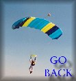To my Skydive Page!