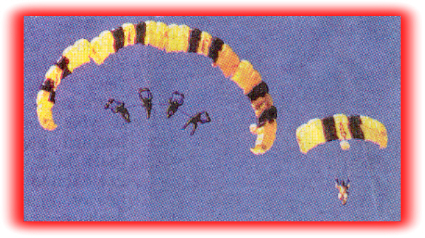 The Army's Golden
 Knights doing a quad-by-side!