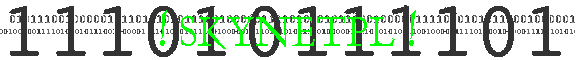 ! SKYNETPL !