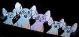 The Space Mice
