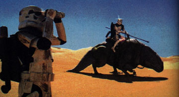dewback.jpg