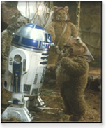 main_artoo.jpg