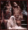 chewfam.jpg