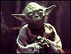 yoda.jpg