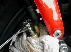 Click on image to enlarge
