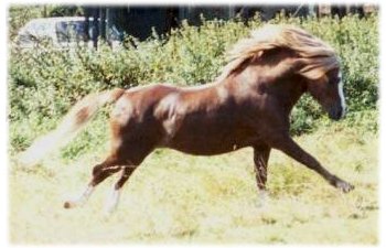 astu_kuva.jpg (22822 bytes)