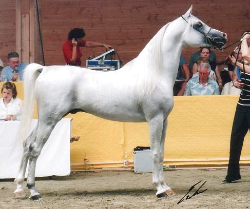 caltsu1.jpg (35771 bytes)