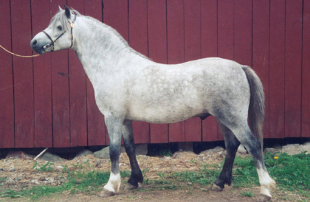 classic1.jpg (137602 bytes)