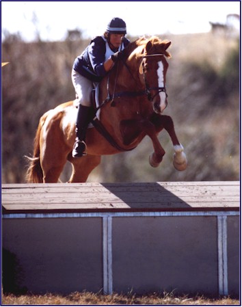 double2.jpg (41174 bytes)