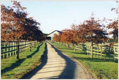 etukuva1_fayetteparkstud.jpg (34405 bytes)