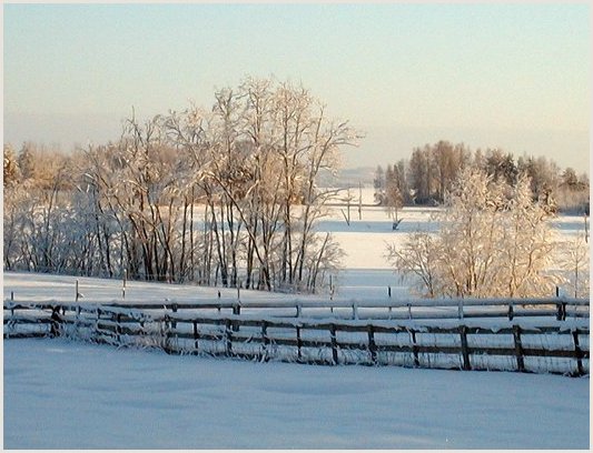 etukuva4_poke.jpg (57320 bytes)