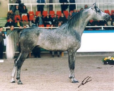 goddes1.jpg (31912 bytes)