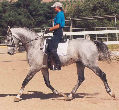 hamlet1.jpg (48458 bytes)