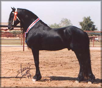 kapu1.jpg (25677 bytes)