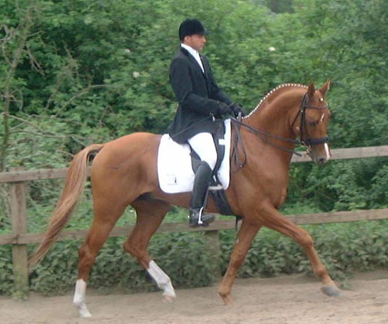 memory3.jpg (49181 bytes)