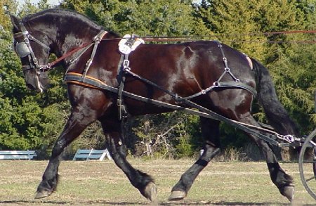 midi2.jpg (53011 bytes)