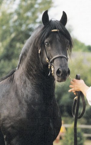 milky4.jpg (27744 bytes)