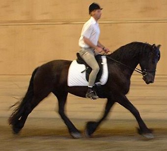 moon5.jpg (19458 bytes)