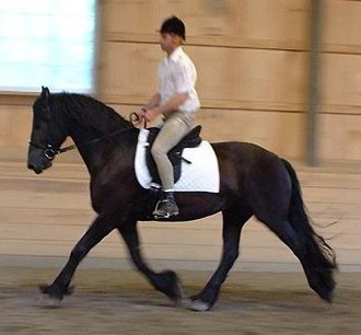 moon6.jpg (20112 bytes)