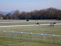 siittola_laidun.jpg (13685 bytes)