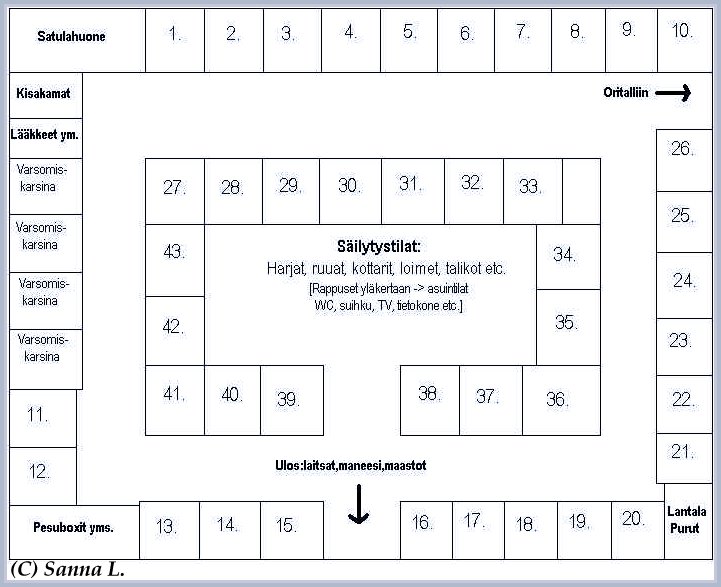 tammatalli.jpg (72353 bytes)