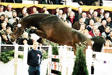 today1.jpg (121660 bytes)