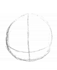 head2.jpg (11705 bytes)