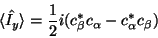 \begin{displaymath}\langle\hat{I_y}\rangle =\frac{1}{2}i(c_\beta^*c_\alpha - c_\alpha^*c_\beta )\end{displaymath}