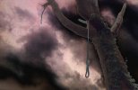 Hanging Tree