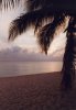 Tropical Sunset