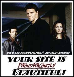 Your site is painstakingly beautiful !