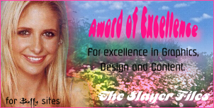 Award of excellence