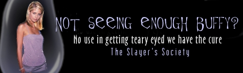 The Slayer's society