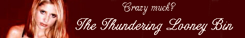 The thundering looney bin