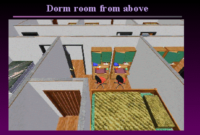 Slide 10