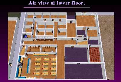 Slide 8