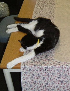 Helping with the sewing