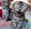 My humour pages