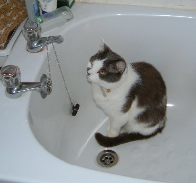 He likes his water fresh... but doesn't like the shower ;-)