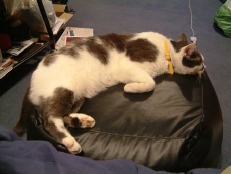 Don't you envy that relaxation?