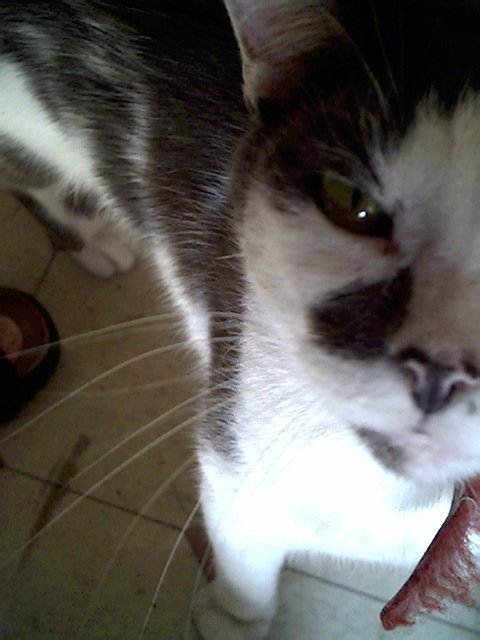What are YOU looking at?